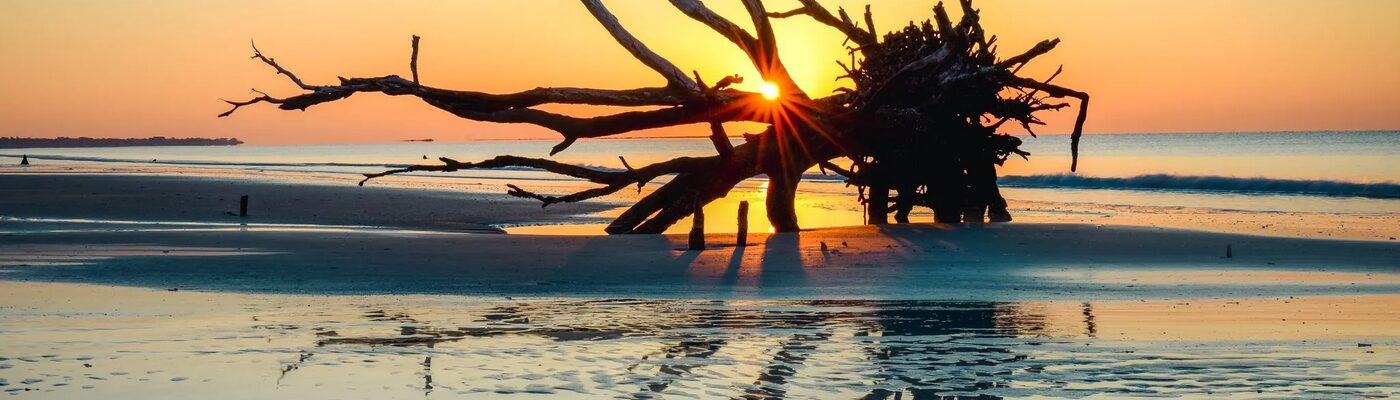South Carolina coastline